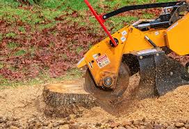 Best Lawn Pest Prevention  in Daniels, WV
